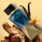 Essencial Oud Vanilla Feminino Natura 100 ml